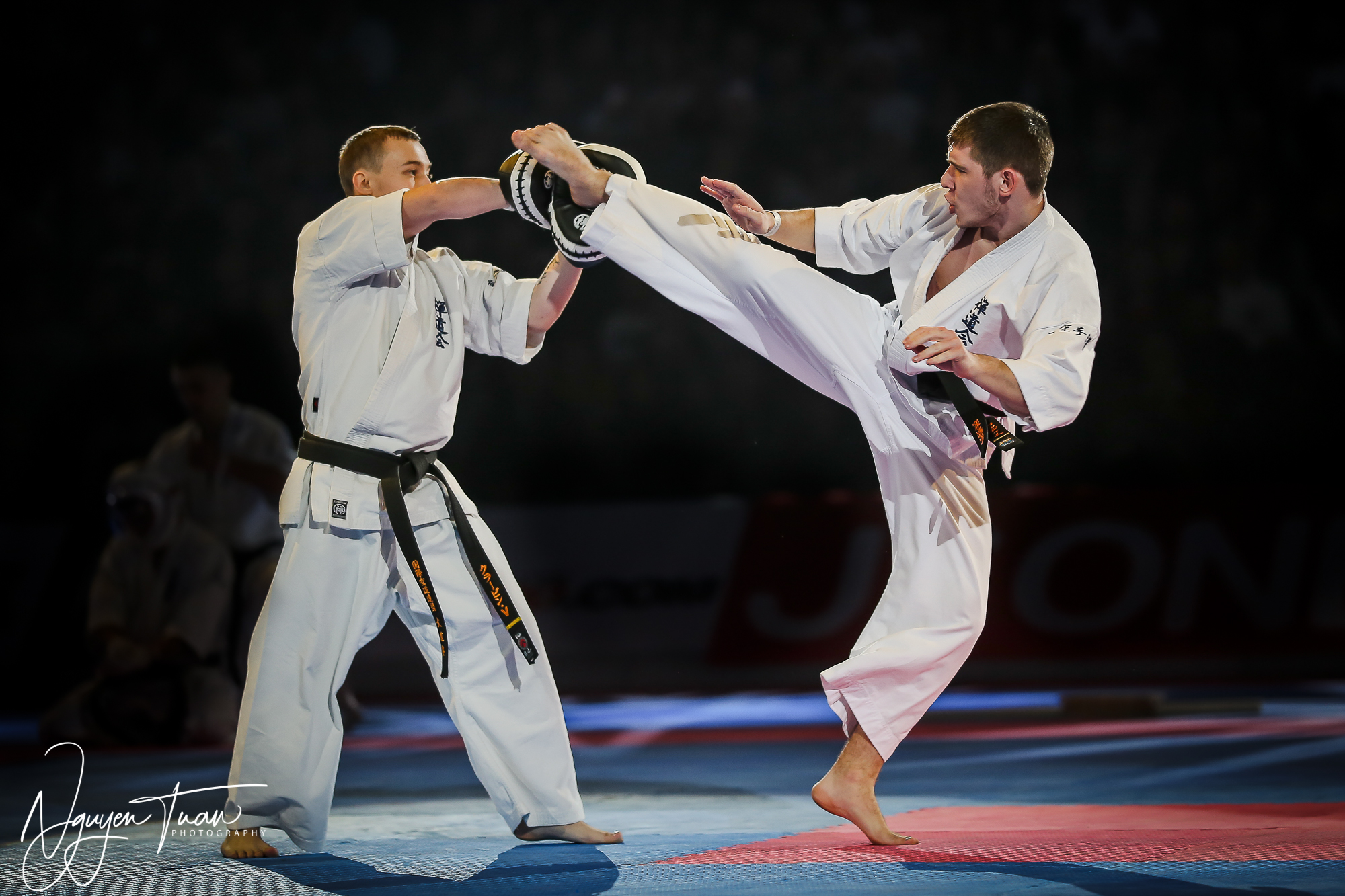 20190324 Festival des Arts Martiaux 3117